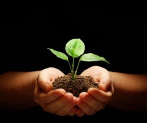 gifts-to-charity-will