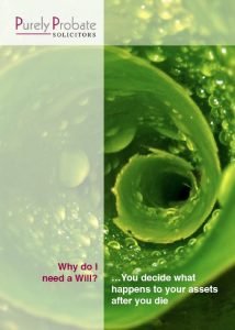 Why make a will eBook